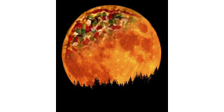 Illustration for article titled 19 Stunning Photos of The Year's Biggest, Most Beautiful Moon So Far